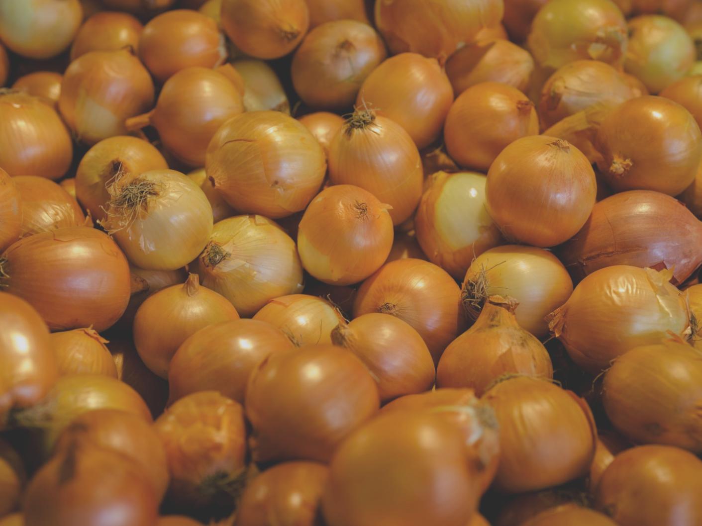 Professionally prepared event meal arrangement featuring diverse dishes tailored to guest preferences